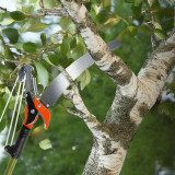 Telescopic Branch Cutter Home GMS Store