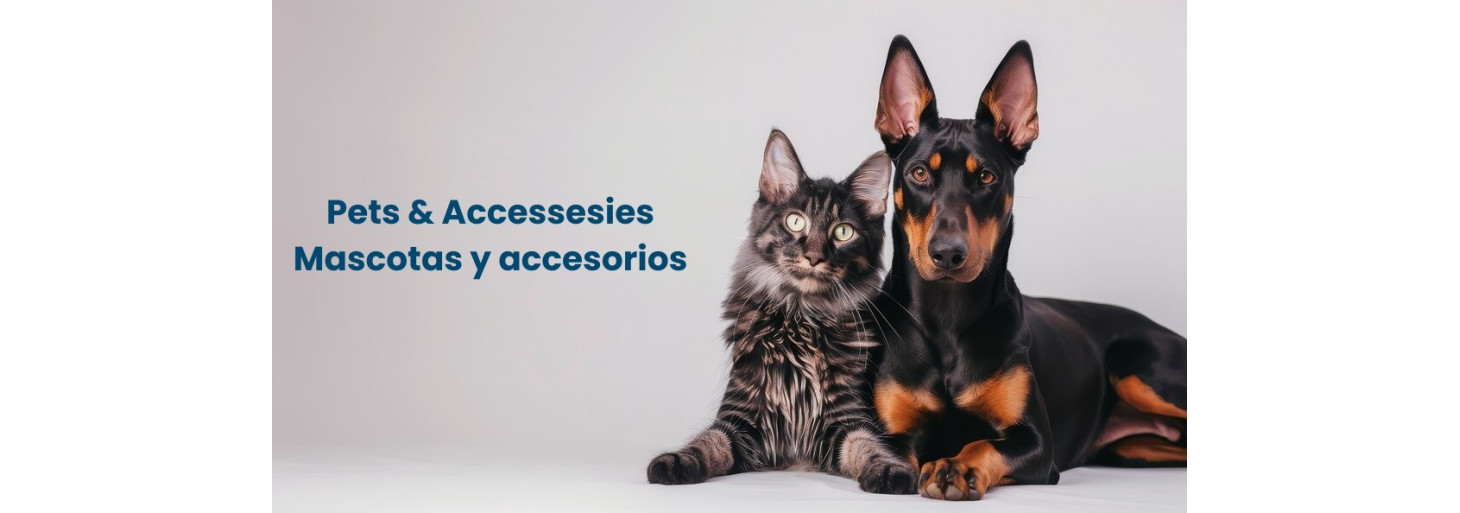 Accesorios para perros