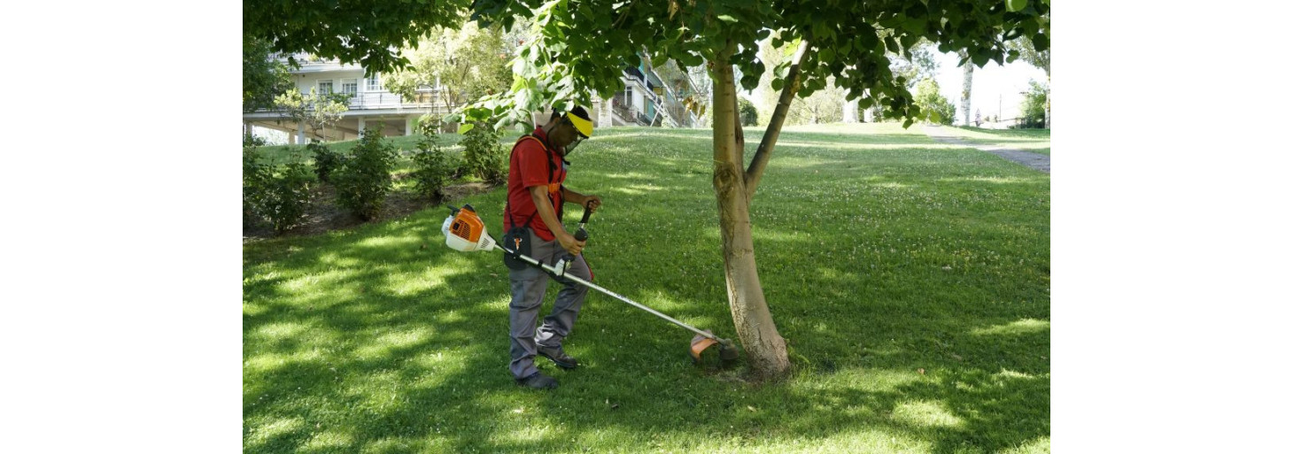 Limpieza del jardín