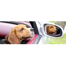 Transportines para perros